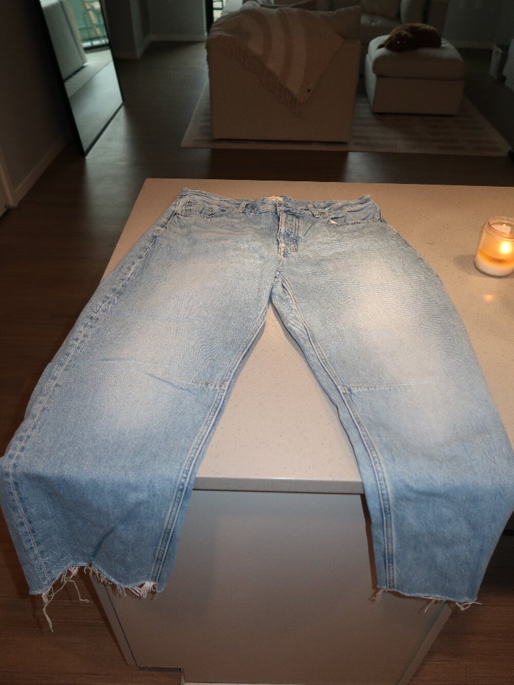The Darted Barrel Leg Jeans Madewell